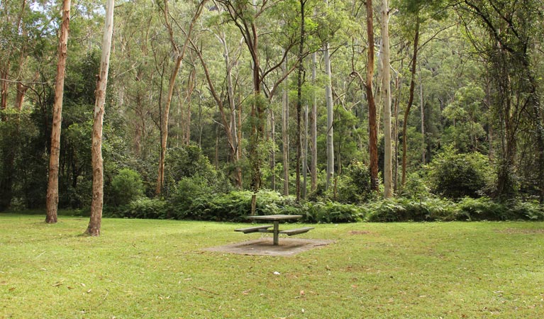 Central Coast National Parks