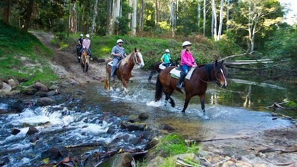 Central Coast Horse Riding